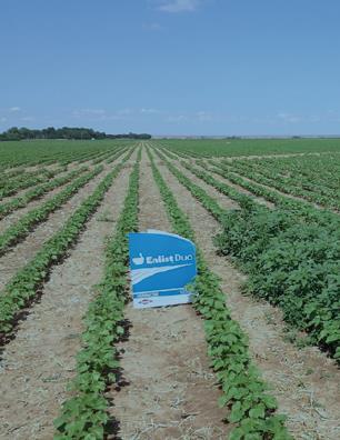 herbicide TREATED UNTREATED Integrated system of novel