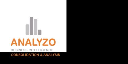 Analyzo is your information command center.