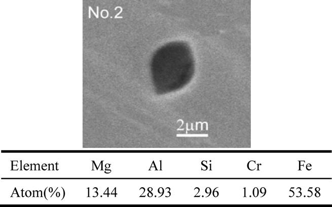 Typical inclusion detected in steel sample No. 2. Fig. 7. Typical inclusion detected in steel sample No. 6. Fig. 4.