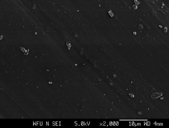 SEM images of our nanocomposites also show large-scale clumping of nanoparticles.