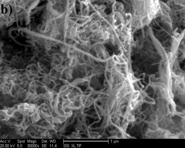 bundled MWCNTs, carbon nanofibers, amorphous