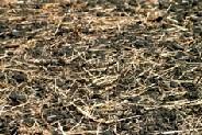windrow Typically or aerated static pile.
