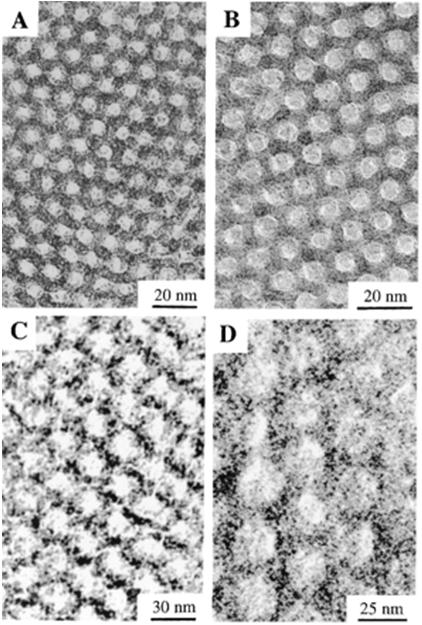 Small Angle X-ray Diffraction Triblock Copolymer Syntheses of Mesoporous Silica with Periodic 50 to 300 Angstrom Pores Science, Vol 279, Issue 5350, 548-552,