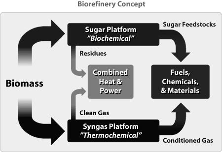 NREL s Biorefinery Concept Source: National Renewable Energy Laboratory http://www.nrel.gov/biomass/biorefinery.