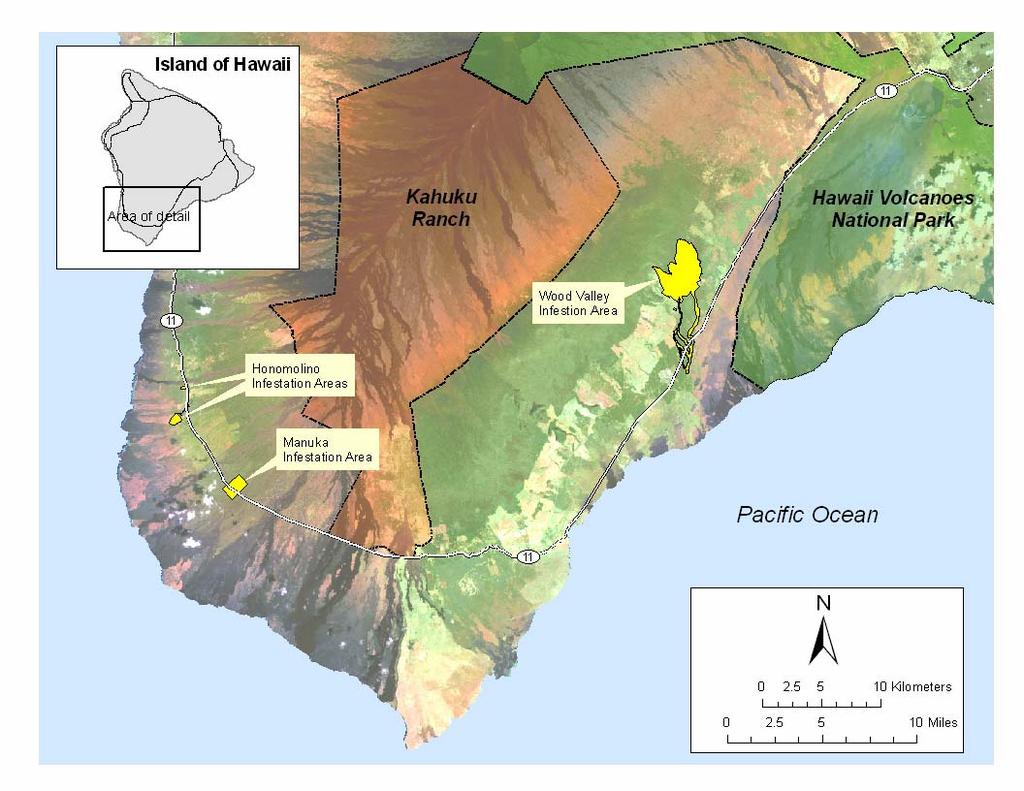 Figure 1. Bocconia infestation areas on the island of Hawai`i. Some areas could not be thoroughly surveyed due to the difficulty of the terrain, surrounding vegetation or time constraints.