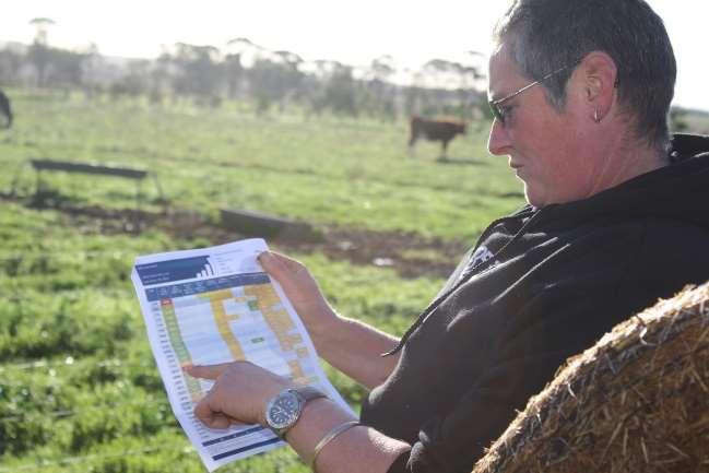 Peta Barlow Dairy Farmer The Herd Test Dashboard is only relatively new but Yarram Herd Services were involved during its development so I got our herd involved as soon as it was available.