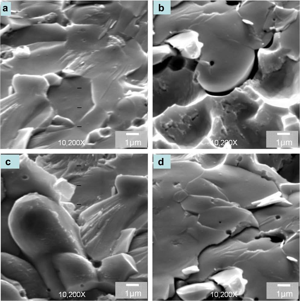 282 S.M. Hayes et al. / Microelectronics Reliability 49 (2009) 269 287 Fig. 24. Opposing fracture surfaces (a) and (b) as well as c and d for Sn 0.7Cu solder on Cu after 180 s of reflow.