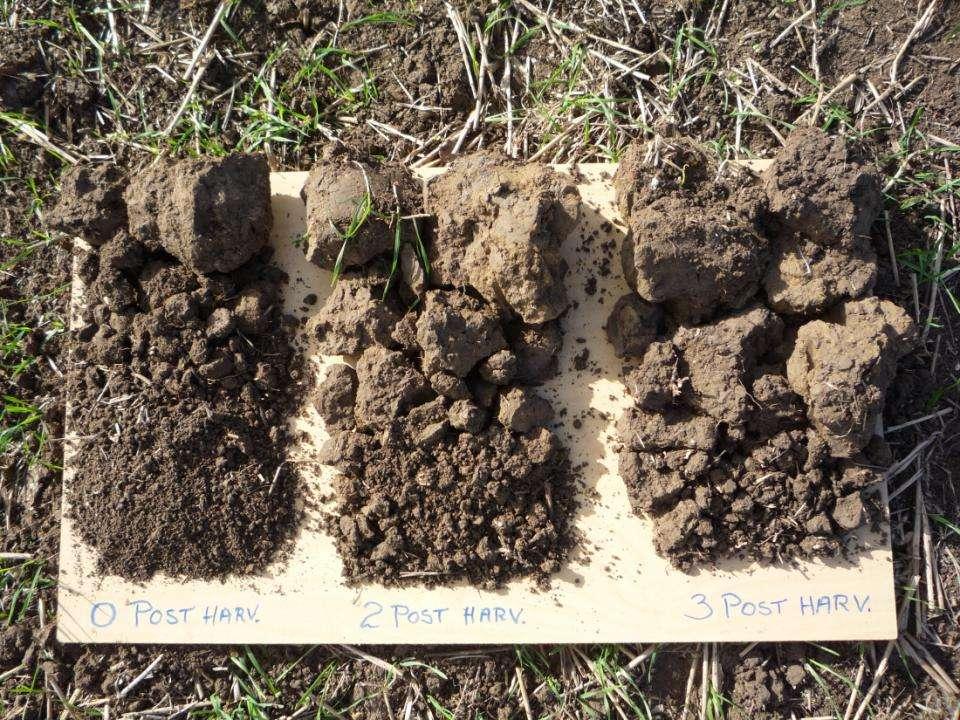 Improved soil structure Zero traffic for 15