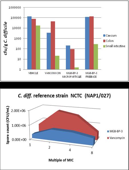 MGB-BP-3 Activity Against C. difficile Activity of MGB-BP-3 against C. difficile compared with vancomycin Hamster model of CDI showed that MGB-BP-3 reduced C.