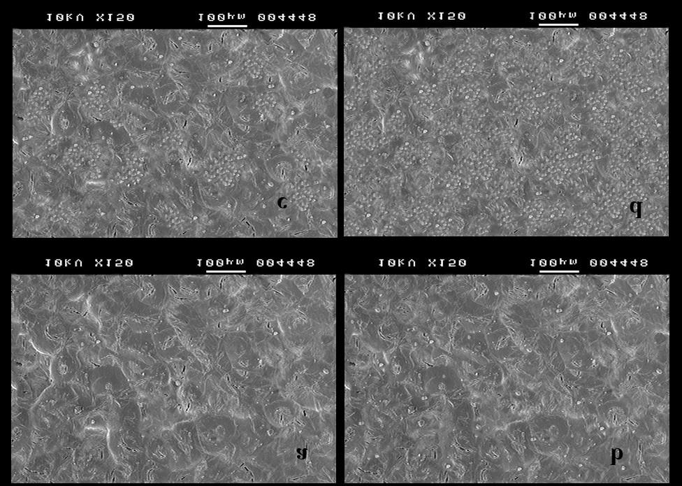 3.1 (a, b, c and d : SEM pattern Cadmium Sulfide filled Polyethylene Oxide composite thin film for a 1, b 5, c 10 and d 15 weight percentage respectively.