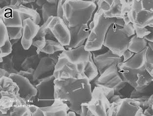 A MODEL ALUMINA BASED INVESTMENT CASTING 19 polycrystalline composition of Al2( 1-x ) MgxTi(1+ x) O5 is formed