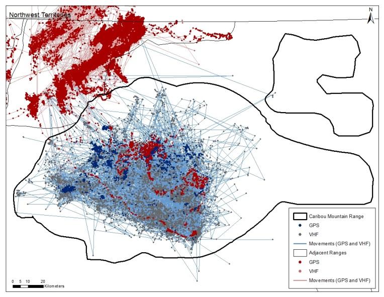 Figure 15 Locations from radio-collared caribou from the Caribou Mountains and adjacent caribou populations.