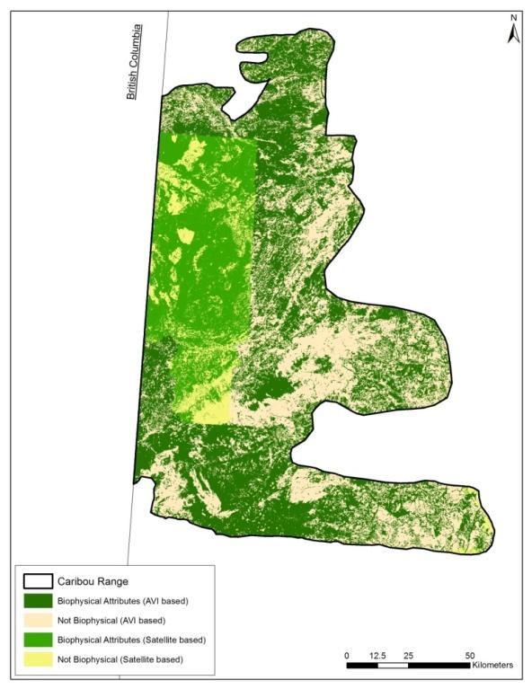 Figure 23 Current availability of caribou biophysical habitat in the Chinchaga caribou range.