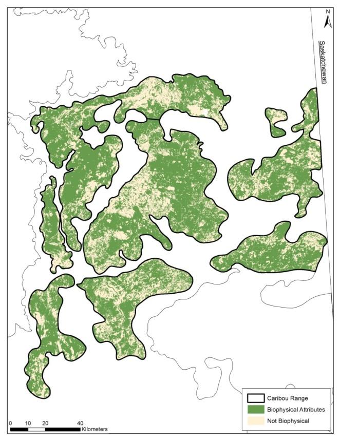 Figure 35 Current availability of caribou biophysical habitat in the ESAR caribou range.