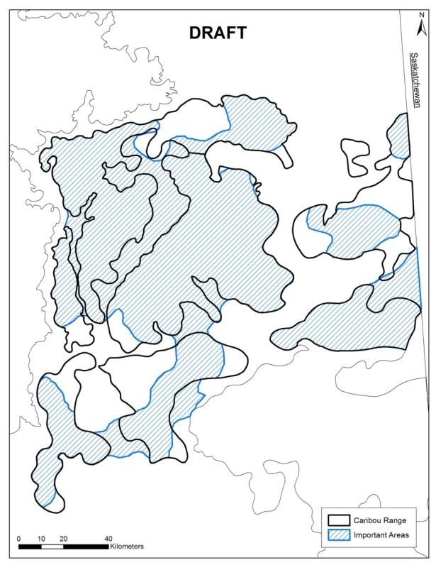 Figure 36 Important areas for caribou in the ESAR caribou range.