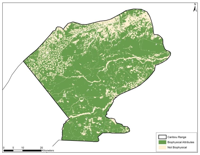 Figure 41 Current availability of caribou biophysical habitat in the Little Smoky caribou range.