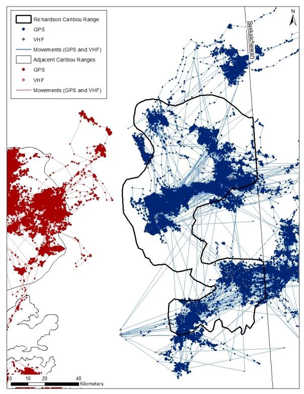 Figure 69 Locations from radio-collared caribou from the Richardson and adjacent caribou populations.