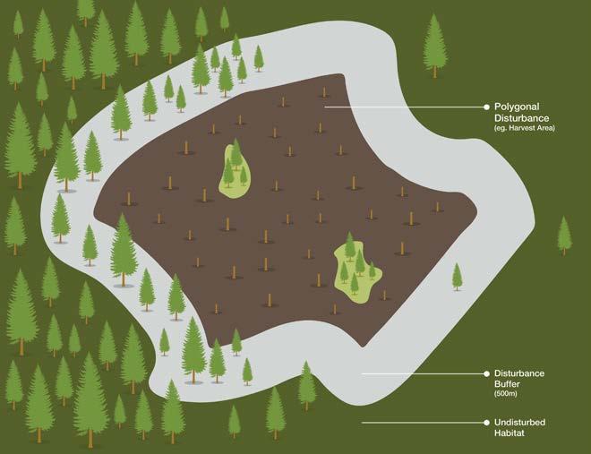 Provincial Woodland Caribou Range Plan Figure 3 Illustrates
