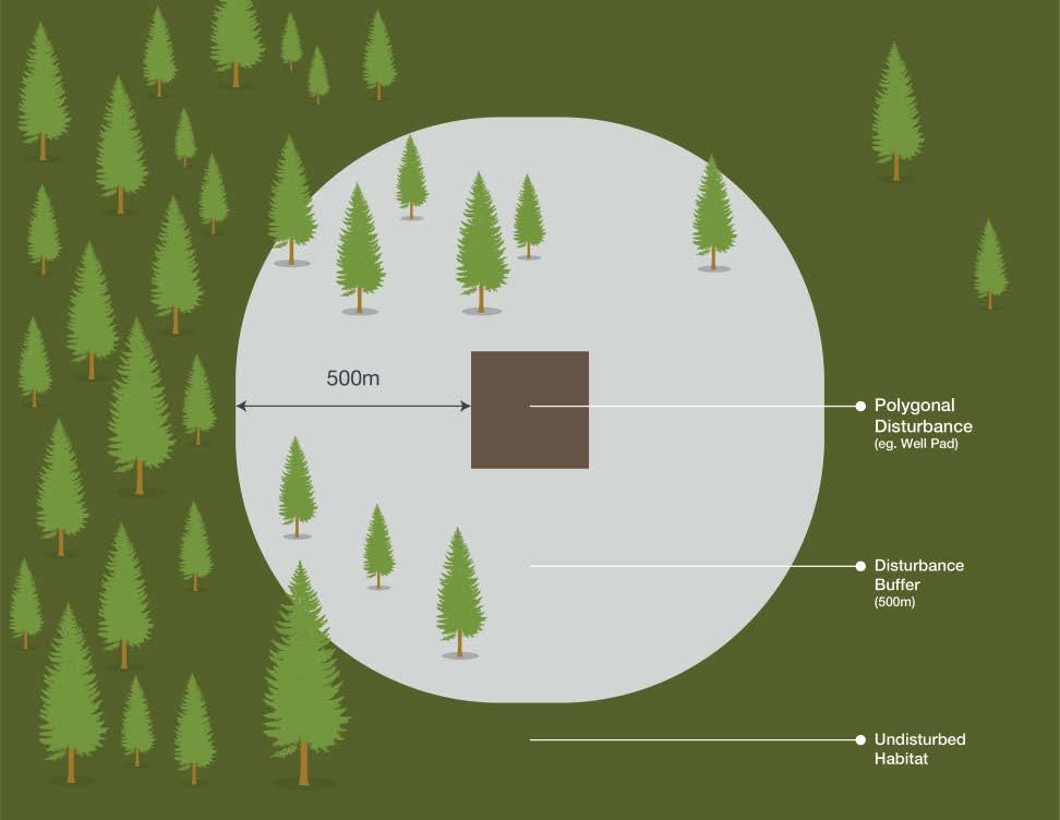 Provincial Woodland Caribou Range Plan Figure 5 Illustrates how the 500m