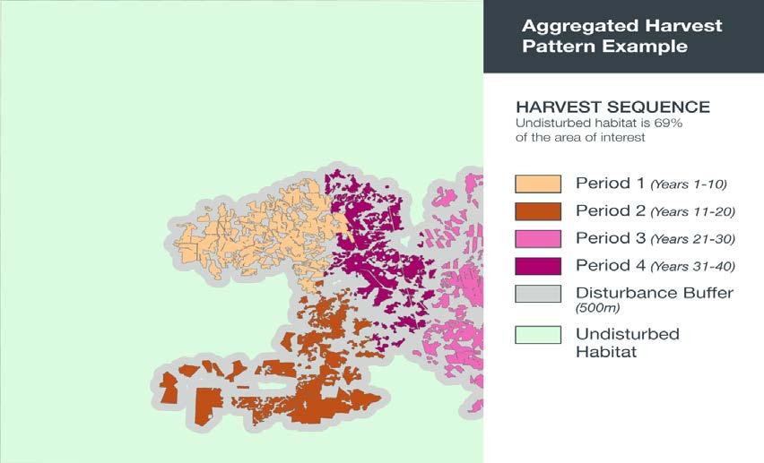 aggregated forest harvest patterns after 40