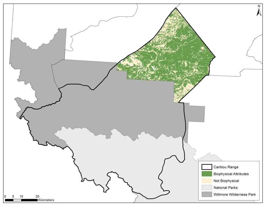 Figure 5 Current availability of caribou biophysical habitat in the A La Peche caribou range.