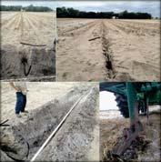 Fertilizer banding equipment Irrigation: Installation of sub-surface drip tape Develop a specific plan Engage Management