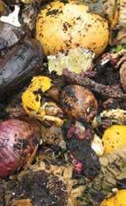 COMPOSTED 63% OF WASTE GOES TO LANDFILL 445 KG STUFF PER PERSON