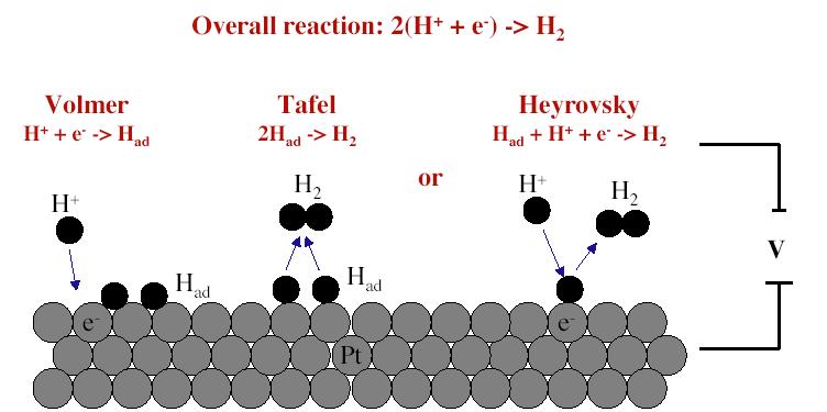 Elementary steps of the hydrogen evolution reaction (HER) Taken from: Molecular Level Picture of the Hydrogen Evolution Egill Skúlason, Gustav S.