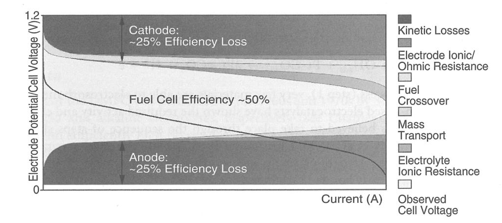 The direct methanol fuel cell (DMFC) Losses: 50% activation losses! mass transport: liquid methanol in, CO 2 out!