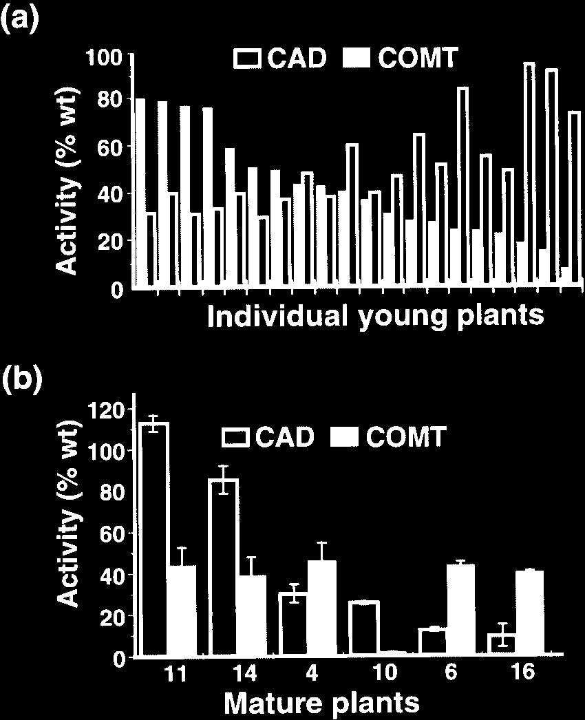 Abbott et al. tivity was consistently reduced to around 40%, except for plant 10, which had only 2% of residual COMT activity (Fig. 1b).