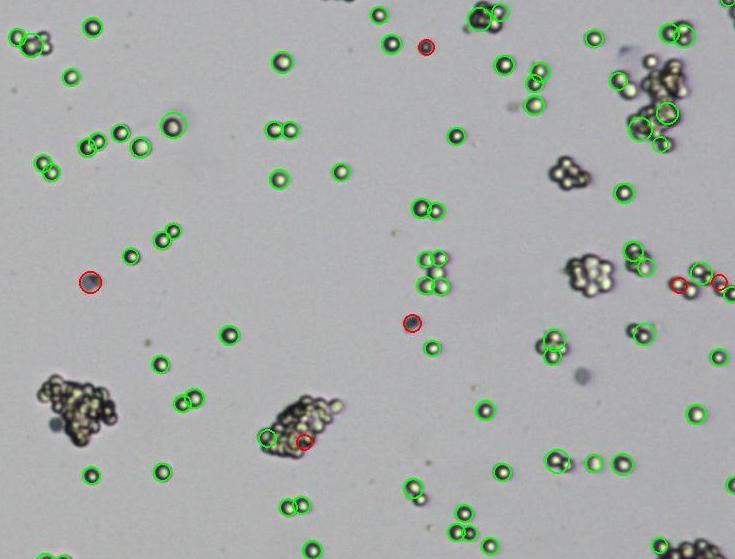 MCF7 Comparison image (Clumped cells) JuLI TM Br Competitor s automated cell counter
