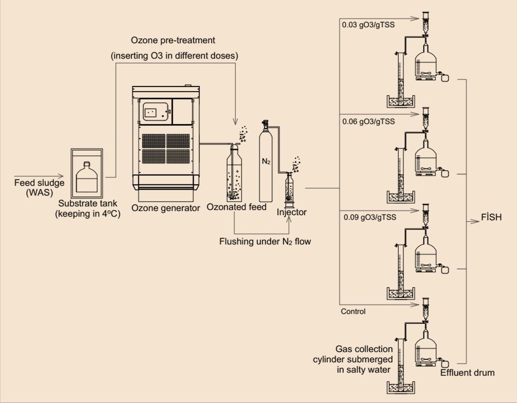 The schematic flow diagram, first part