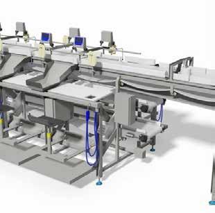 Dynamic weighing Main product exiting the line is weighed and data linked to each operator for individual monitoring of efficiency, yield and quality. 9. Normal skinning 6. Hand filleting flowline 4.