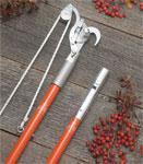 Bypass hand pruners NOT ANVIL Tools of the trade Pruning saw Pole pruners Tools should always be clean, and sharp.