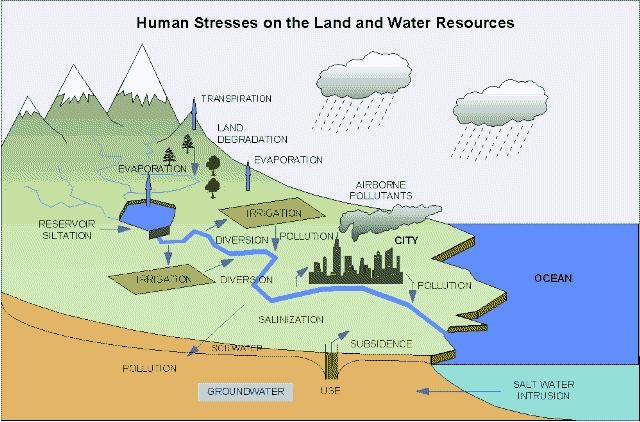 Typical routes to surface and ground water are treated domestic/industrial water, combined sewer