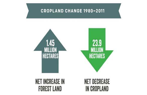 U.S. Cropland Decreased While Forest