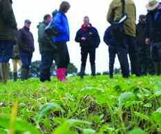Its aim is to add value to fallows by incorporating cover crops that can enhance weed suppression, as well as delivering the additional benefits of improved soil structure, fertility and biodiversity.