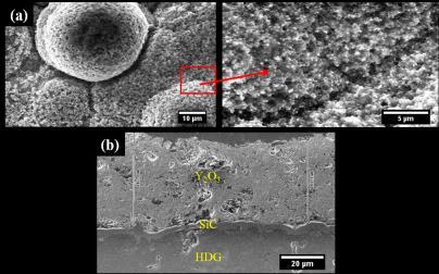 1 Characterisation of SiC interlayer The SEM micrograph of the SiC surface reveal typical CVD microstructure with mushroom pattern type grown morphology with dense packing and uniform and smooth