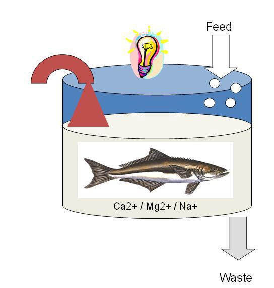 Producing marine fish in low salinity Salinity sensor in fish does not sense absolute concentrations of salts in the water but rather the ratios of specific salt ions Maintaining the appropriate