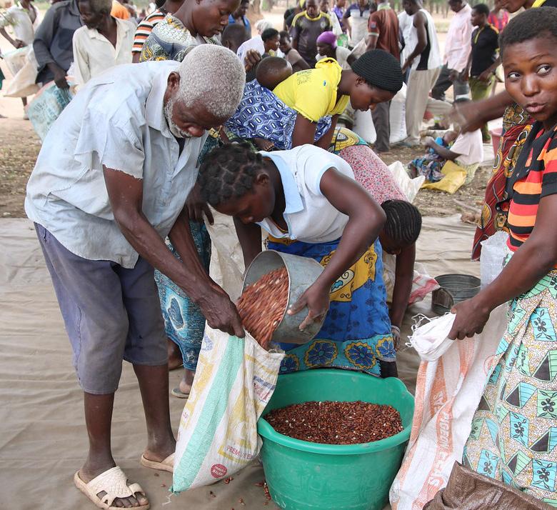 Cover Photo: People are dividing pulses among themselves during a food distribution in Chikwawa district, Malawi.