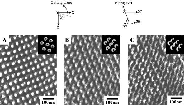 Thin-film samples with cross section cutting at specific angle to the helical axes of hexagonally packed texture were observed under TEM at different tilting angles.