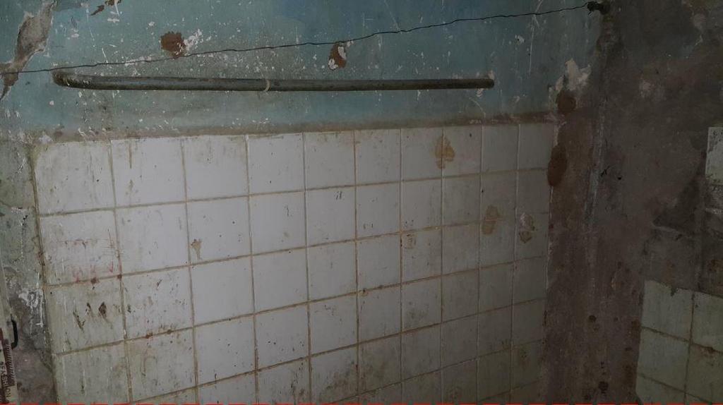 TOILETS Hack and remove all eroded plaster,