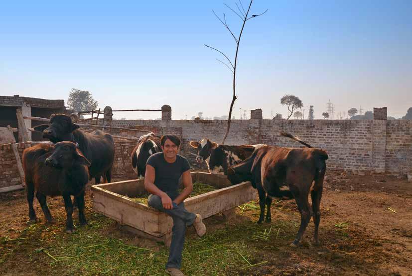 14 CSV Report 2012 SUCCESS STORY A young and enterprising individual sets out to carve his niche Nestlé s Sarsabz training farm