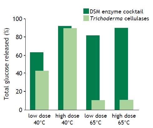High performance in broad temperature range DSM enzymes giving fast liquefaction active above 60 0 C Fast viscosity reduction enabling high dry matter level High