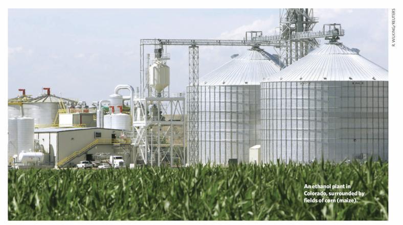 Figure 18: A corn ethanol refinery [5] US Corn Crop Yield Total = 90M acres Food 20% Ethanol 80% Figure 19: US Corn crop yield