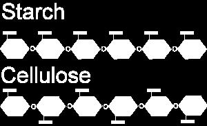 Figure 29: Comparison of starch and cellulose molecules Cellulosic ethanol is of great interest because cellulose can be found