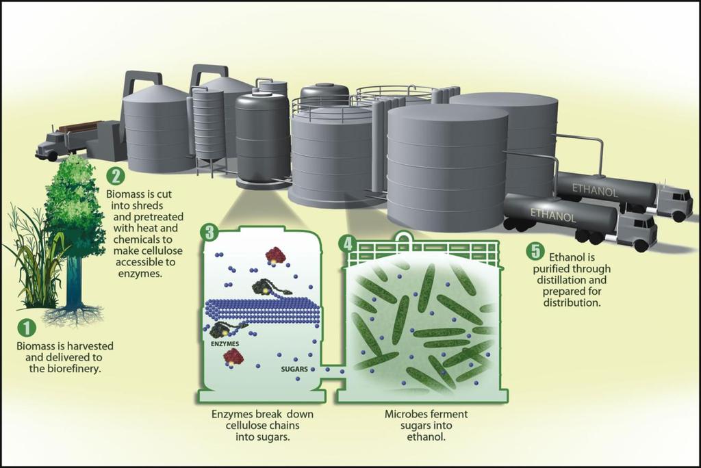 Figure 38: Cellulosic ethanol production Figure 37 shows an actual fermentation tank, while