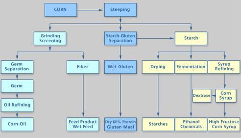 Wet Milling Process Figure 2.3 Figure 2.3 (RFA) displays the steps of the wet milling process.