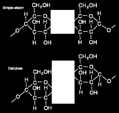 Although both starch and cellulose are polymers of the glucose monomer, they are oriented differently geospatially due to their chemistry.