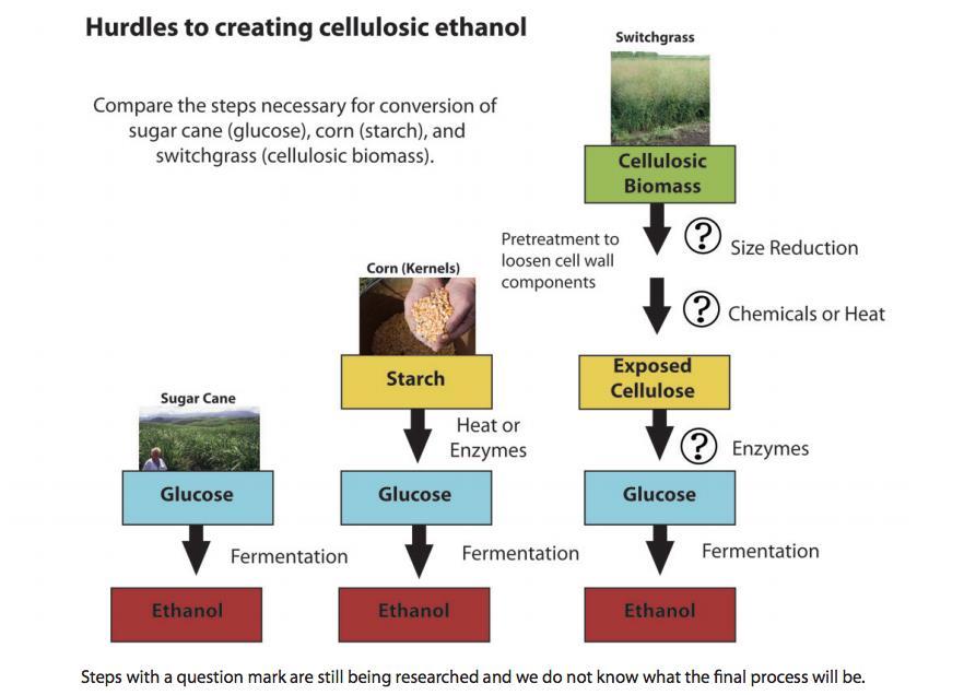 As a summary of the different scientific processes, there are three main starting points from which to create ethanol from plants. In Figure 3.